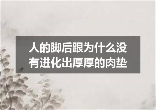 人的脚后跟为什么没有进化出厚厚的肉垫