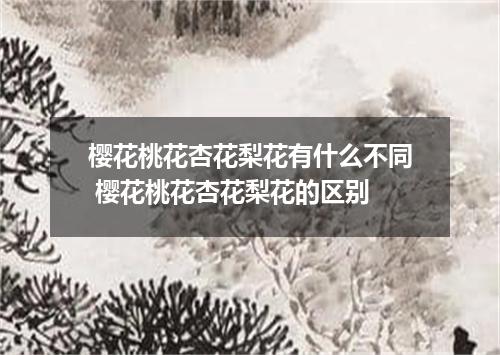 樱花桃花杏花梨花有什么不同 樱花桃花杏花梨花的区别