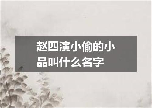 赵四演小偷的小品叫什么名字