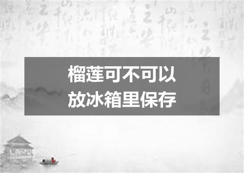 榴莲可不可以放冰箱里保存