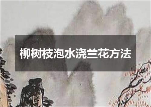 柳树枝泡水浇兰花方法