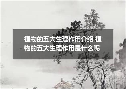 植物的五大生理作用介绍 植物的五大生理作用是什么呢