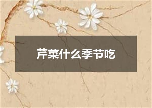 芹菜什么季节吃