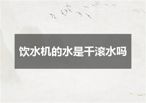 饮水机的水是千滚水吗