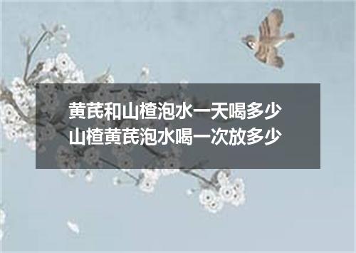 黄芪和山楂泡水一天喝多少 山楂黄芪泡水喝一次放多少