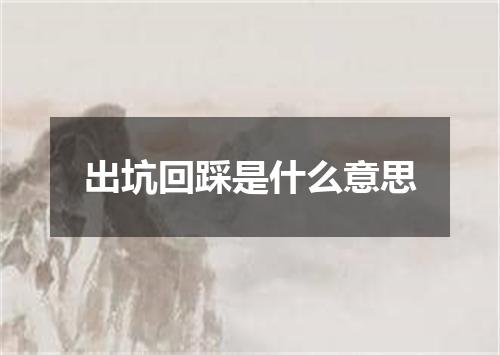 出坑回踩是什么意思