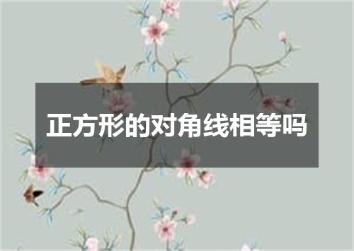 正方形的对角线相等吗