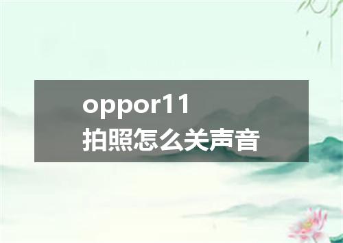 oppor11拍照怎么关声音