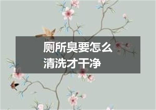 厕所臭要怎么清洗才干净