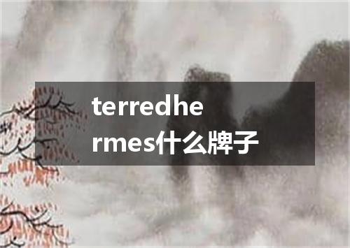 terredhermes什么牌子