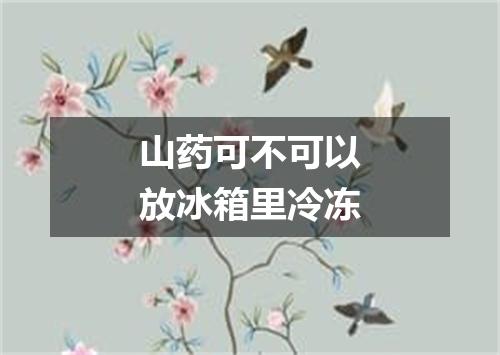 山药可不可以放冰箱里冷冻