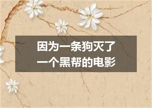 因为一条狗灭了一个黑帮的电影