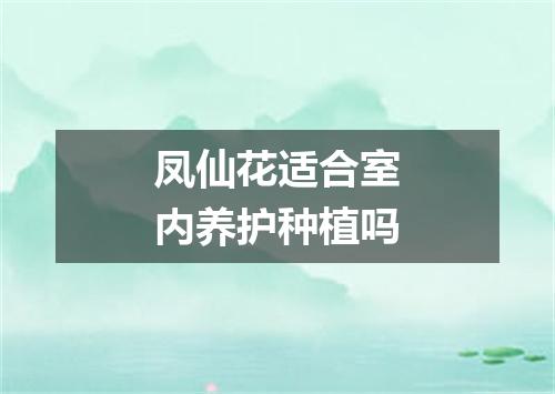 凤仙花适合室内养护种植吗