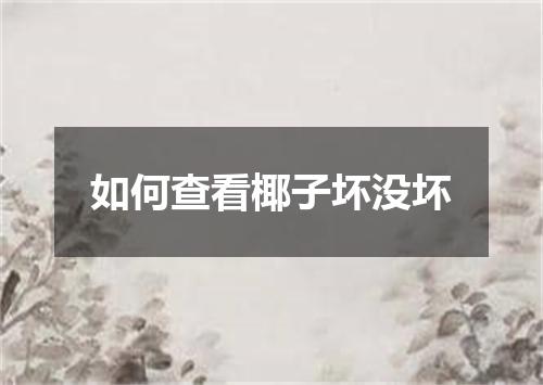 如何查看椰子坏没坏