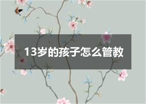 13岁的孩子怎么管教