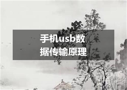 手机usb数据传输原理