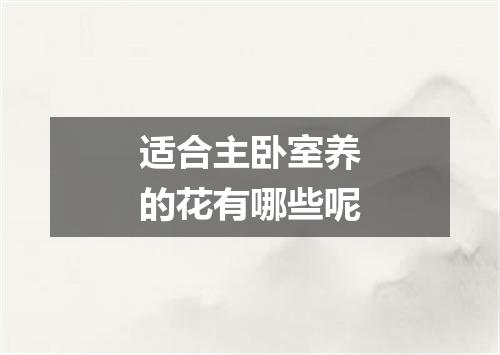 适合主卧室养的花有哪些呢