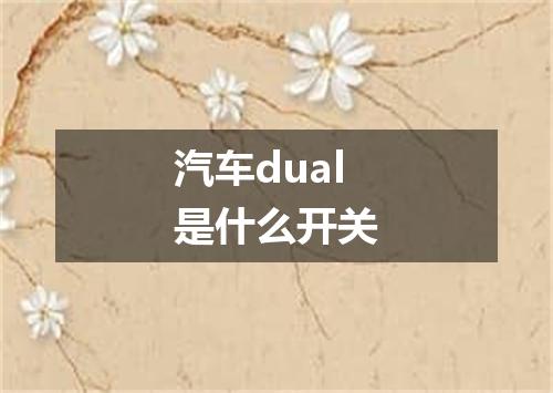汽车dual是什么开关