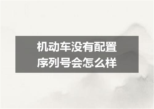 机动车没有配置序列号会怎么样
