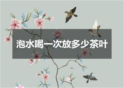 泡水喝一次放多少茶叶