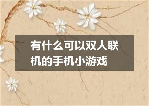 有什么可以双人联机的手机小游戏
