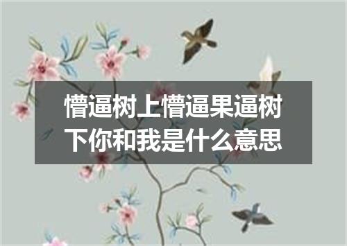 懵逼树上懵逼果逼树下你和我是什么意思