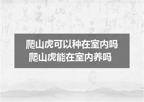 爬山虎可以种在室内吗 爬山虎能在室内养吗