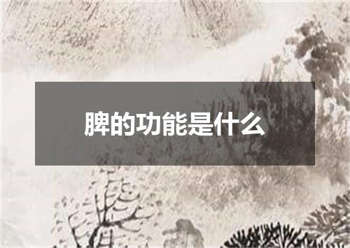 脾的功能是什么