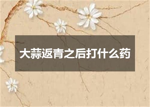 大蒜返青之后打什么药