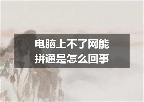 电脑上不了网能拼通是怎么回事
