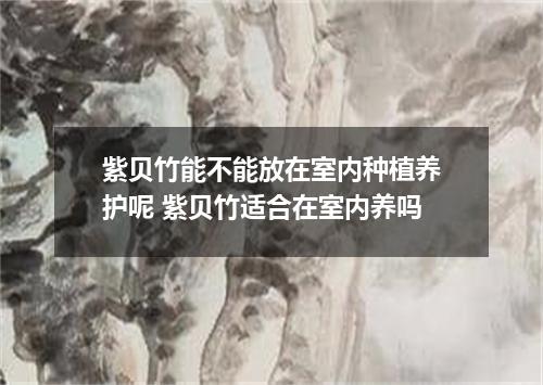 紫贝竹能不能放在室内种植养护呢 紫贝竹适合在室内养吗