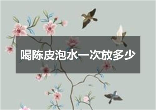 喝陈皮泡水一次放多少