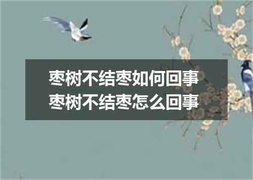 枣树不结枣如何回事 枣树不结枣怎么回事