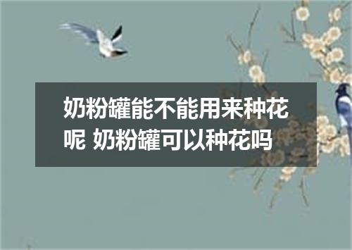 奶粉罐能不能用来种花呢 奶粉罐可以种花吗