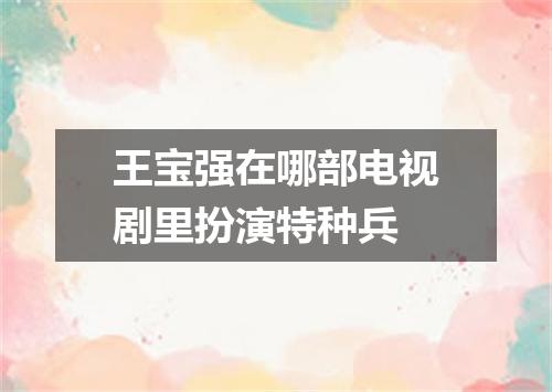 王宝强在哪部电视剧里扮演特种兵