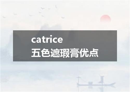 catrice五色遮瑕膏优点