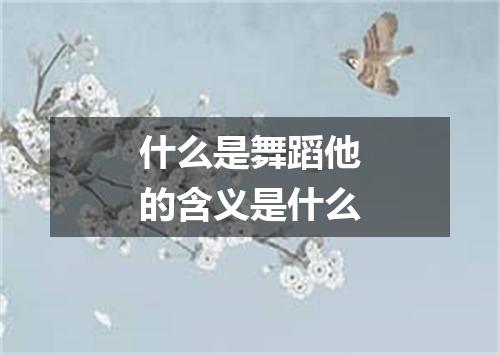 什么是舞蹈他的含义是什么