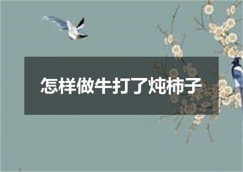 怎样做牛打了炖柿子