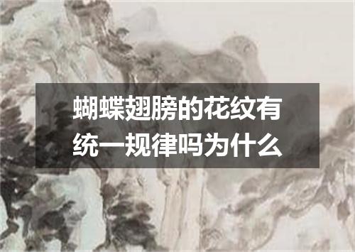 蝴蝶翅膀的花纹有统一规律吗为什么
