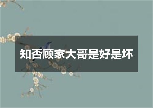 知否顾家大哥是好是坏