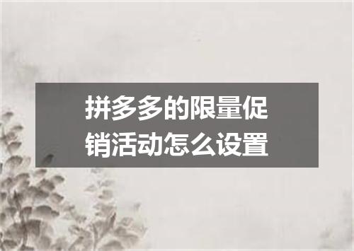 拼多多的限量促销活动怎么设置