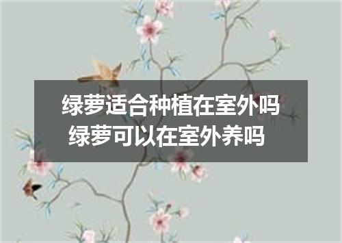 绿萝适合种植在室外吗 绿萝可以在室外养吗