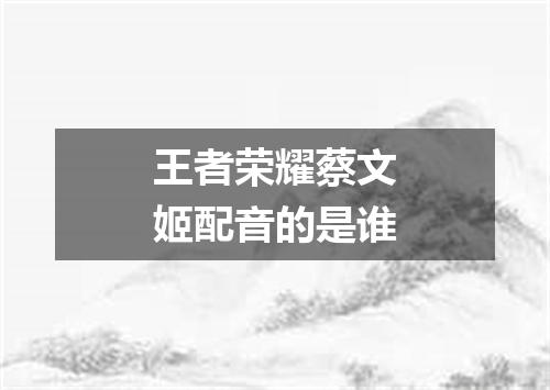 王者荣耀蔡文姬配音的是谁