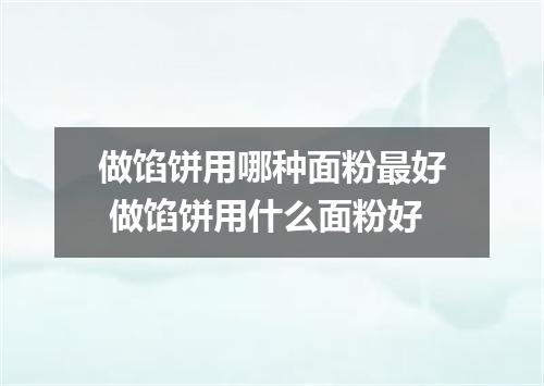 做馅饼用哪种面粉最好 做馅饼用什么面粉好