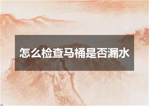 怎么检查马桶是否漏水