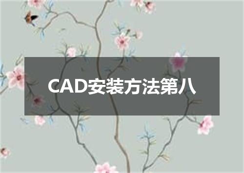 CAD安装方法第八