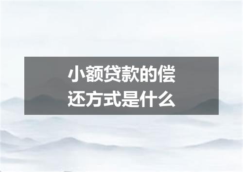 小额贷款的偿还方式是什么