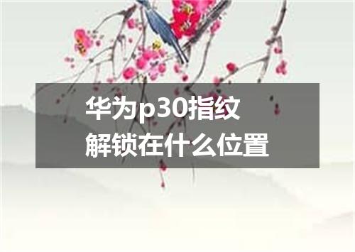 华为p30指纹解锁在什么位置