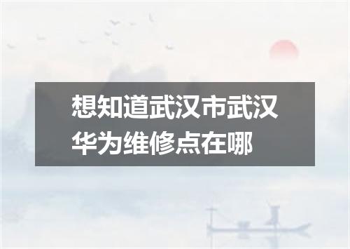 想知道武汉市武汉华为维修点在哪