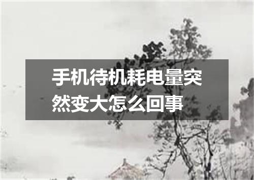 手机待机耗电量突然变大怎么回事